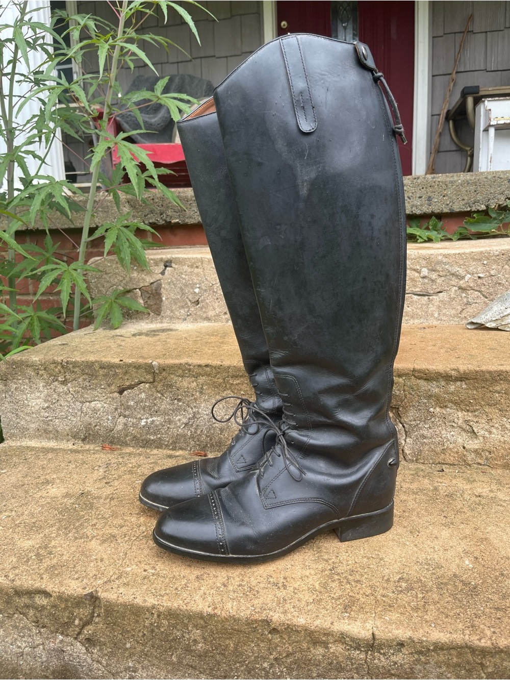 Ariat Black Tall/ Full Calf Riding Boots
